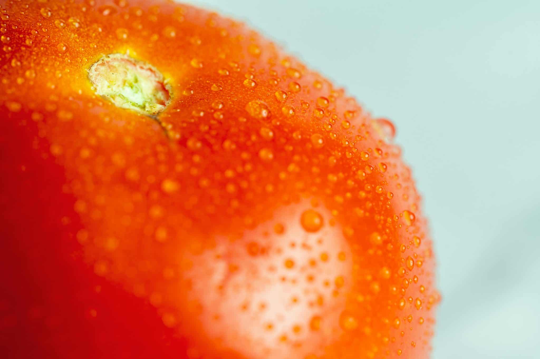 Can Chickens Eat Tomatoes Safely? Avoid Unripe Tomatoes The Easy Homestead